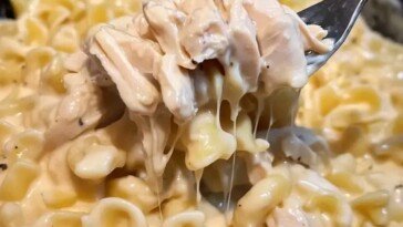 Crockpot Chicken & Noodles