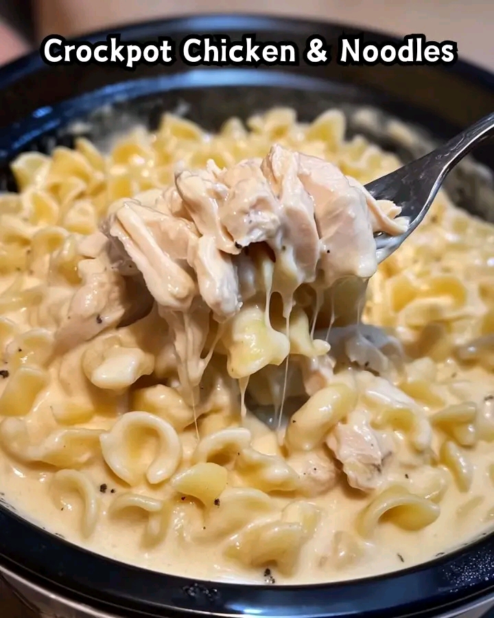 Crockpot Chicken & Noodles
