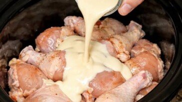 Depression Chicken Fricassee Slow Cooker 5-Ingredient