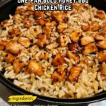 Honey Bold BBQ Chicken Rice
