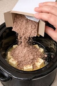Hot Fudge Brownie Pudding Slow Cooker 5 Ingredient