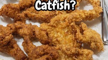 Southern Fried Catfish