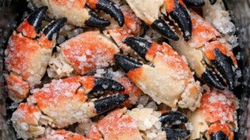 Slow Cooker Crab Alfredo 4-Ingredient
