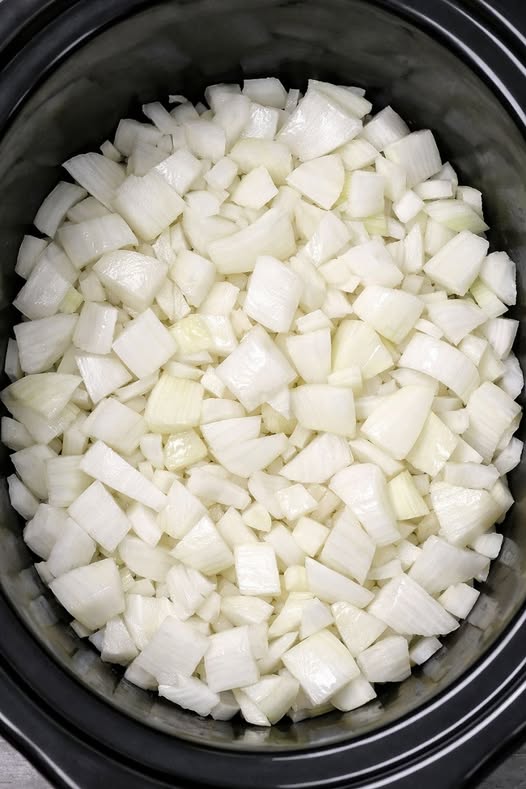 Pork with Onion Sauce Slow Cooker 3-Ingredient