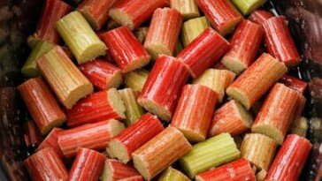 Slow Cooker Rhubarb Treat Simple 3-Ingredient