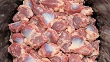 Spring Comfort Chicken Gizzards 4-Ingredient Slow Cooker