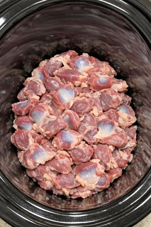 Spring Comfort Chicken Gizzards 4-Ingredient Slow Cooker