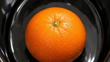 Whole-Orange Spring Pudding Slow Cooker