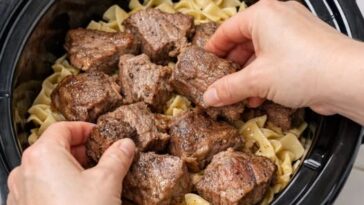 Amish Beef and Noodles Slow Cooker 5-Ingredient