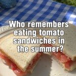 Classic Summer Tomato Sandwich
