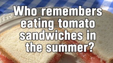 Classic Summer Tomato Sandwich