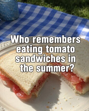Classic Summer Tomato Sandwich