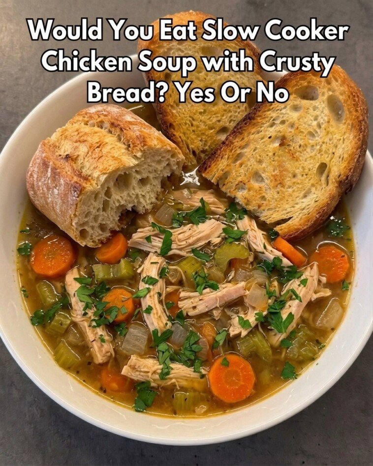 Easy Slow Cooker Chicken Soup – Warm and Cozy Homemade Soup