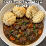 Slow Cooker Beef Stew and Dumplings