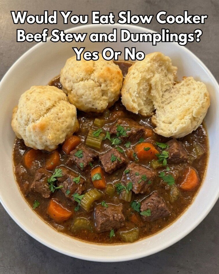 Slow Cooker Beef Stew and Dumplings