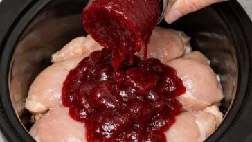 Slow Cooker Cranberry Chicken (Just 3 Ingredients!)